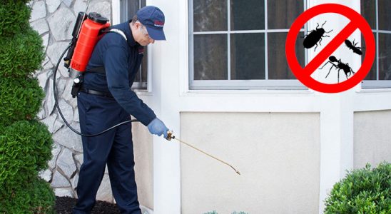 Bayraklı Akrep İlaçlama böcek ilaçlama ve haşere kontrolü — ilaclama-tr.com